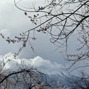 林芝旅游 缩略图 10
