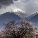 林芝旅游 缩略图 3