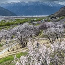 林芝旅游 缩略图 1
