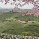 龙岩旅游 缩略图 3