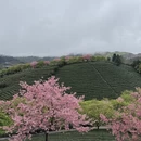 龙岩旅游 缩略图 2