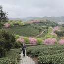 龙岩旅游 缩略图 5