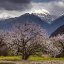 林芝旅游 缩略图 8