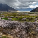 林芝旅游 缩略图 10