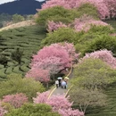 龙岩旅游 缩略图 1