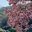 杭州旅游 缩略图 16