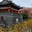 深圳旅游 缩略图 8