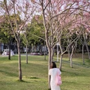 深圳旅游 缩略图 10