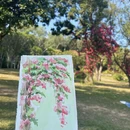 深圳旅游 缩略图 6