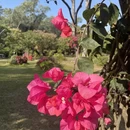 深圳旅游 缩略图 5