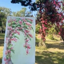 深圳旅游 缩略图 1