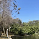 深圳旅游 缩略图 8