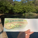 深圳旅游 缩略图 10