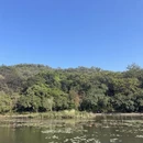 深圳旅游 缩略图 9