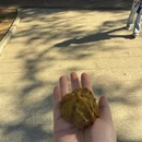 深圳旅游 缩略图 4