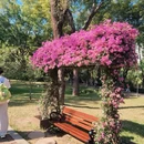 深圳旅游 缩略图 5