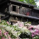 深圳旅游 缩略图 7