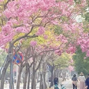 深圳旅游 缩略图 3