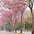 深圳旅游 缩略图 11