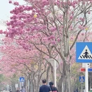 深圳旅游 缩略图 13