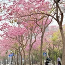 深圳旅游 缩略图 14