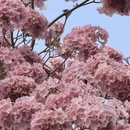 广州旅游 缩略图 2