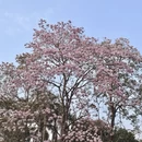 广州旅游 缩略图 4