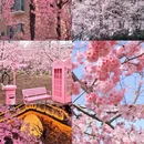 广州旅游 缩略图 2