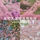 广州旅游 缩略图 6