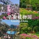 广州旅游 缩略图 3
