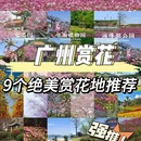 广州旅游 缩略图 1