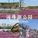 广州旅游 缩略图 4