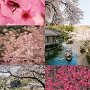 广州旅游 缩略图 3