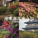 广州旅游 缩略图 9