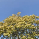 广州旅游 缩略图 6