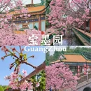 广州旅游 缩略图 2