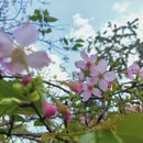 广州旅游 缩略图 5