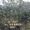 广州旅游 缩略图 3