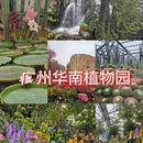 广州旅游 缩略图 1
