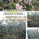 广州旅游 缩略图 1