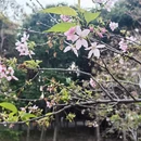 广州旅游 缩略图 6
