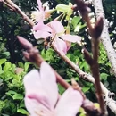 广州旅游 缩略图 8