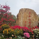 广州旅游 缩略图 3