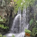 广州旅游 缩略图 6