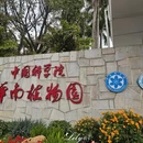 广州旅游 缩略图 2