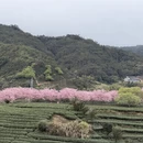 龙岩旅游 缩略图 3