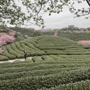 龙岩旅游 缩略图 11
