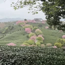龙岩旅游 缩略图 7