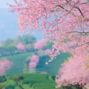 龙岩旅游 缩略图 3