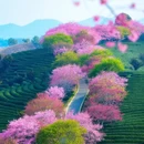 龙岩旅游 缩略图 2